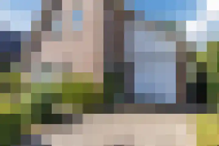 Hooiakker 3 Rijen thumbnail 35
