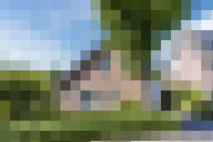 Hooiakker 3 Rijen thumbnail 38