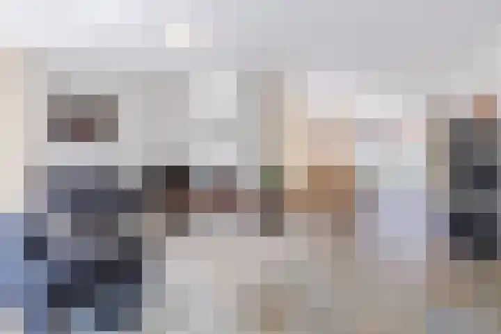 Hooiakker 3 Rijen thumbnail 4