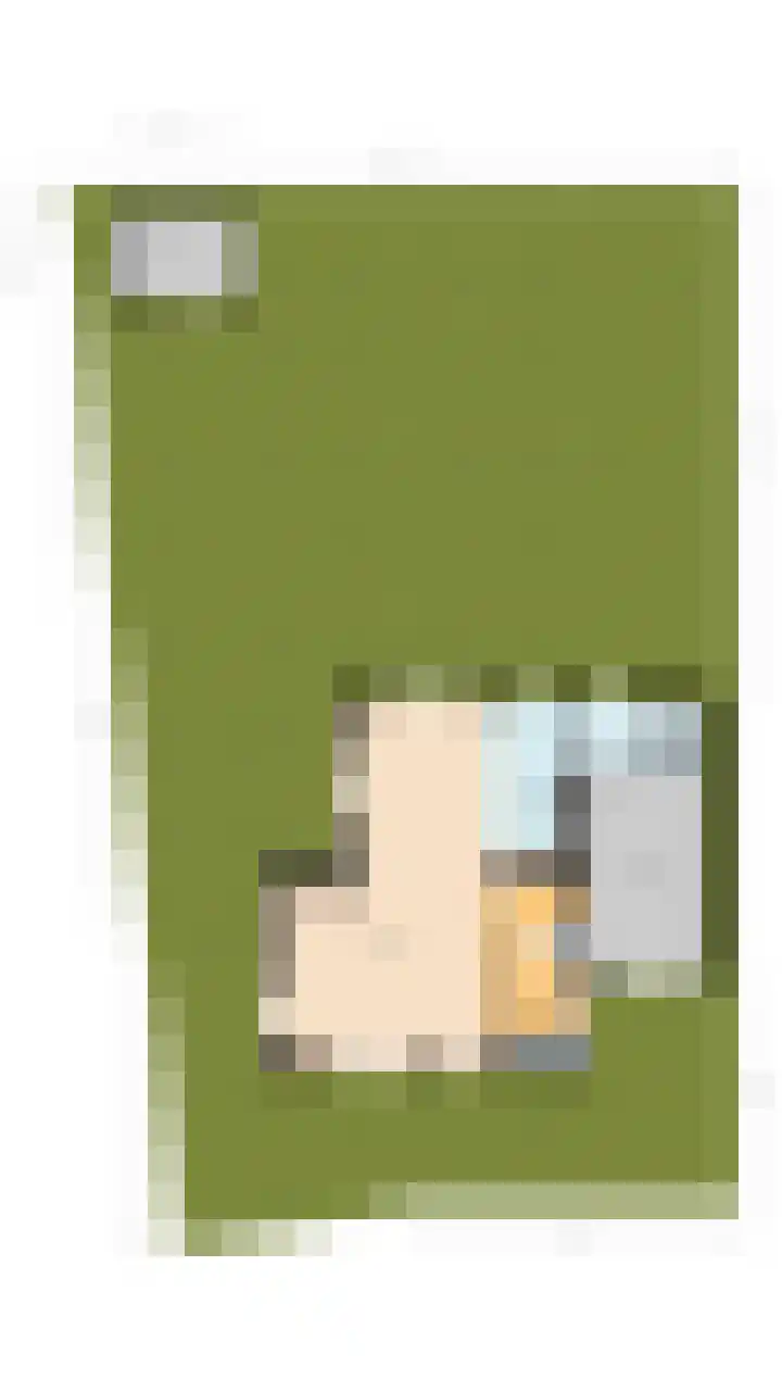 Hooiakker 3 Rijen thumbnail 43
