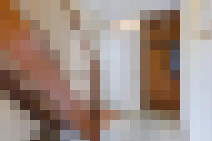 Hooiakker 3 Rijen thumbnail 5