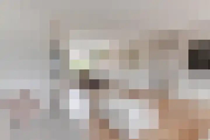 Hooiakker 69 Noord-Scharwoude thumbnail 12