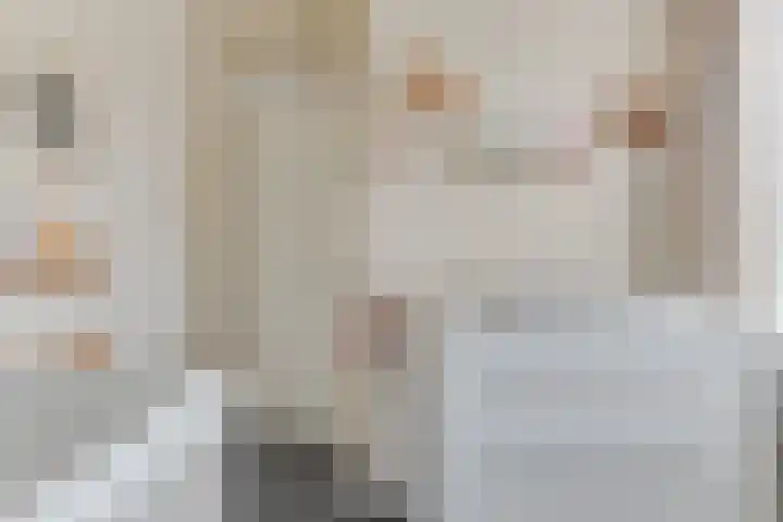Hooiakker 69 Noord-Scharwoude thumbnail 20