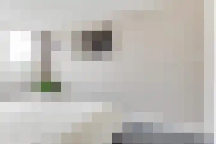 Hooiakker 69 Noord-Scharwoude thumbnail 25