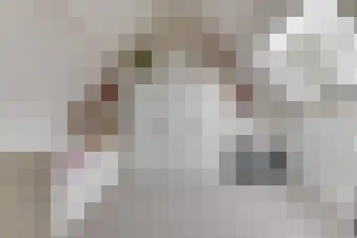 Hooiakker 69 Noord-Scharwoude thumbnail 29