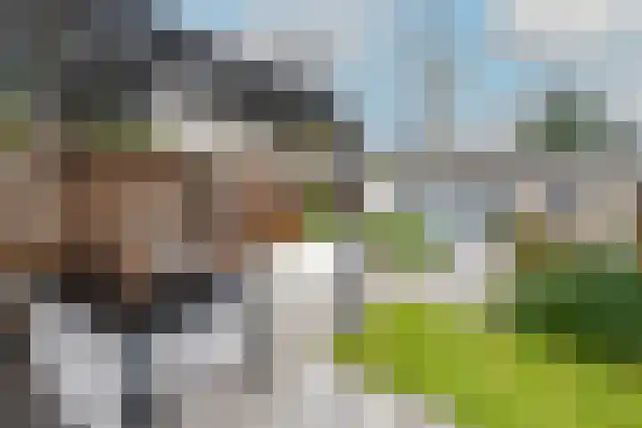 Hooiakker 69 Noord-Scharwoude thumbnail 33