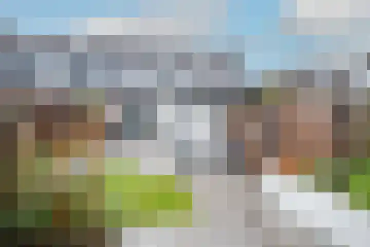 Hooiakker 69 Noord-Scharwoude thumbnail 6