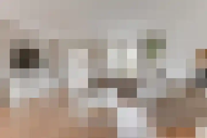 Hooiakker 69 Noord-Scharwoude thumbnail 7