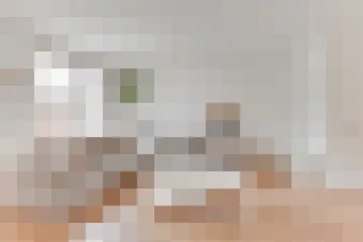 Hooiakker 69 Noord-Scharwoude thumbnail 8