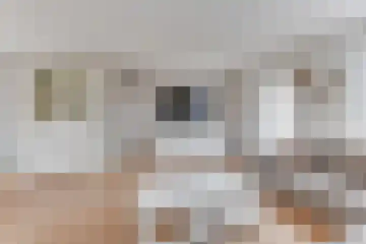 Hooiakker 69 Noord-Scharwoude thumbnail 9