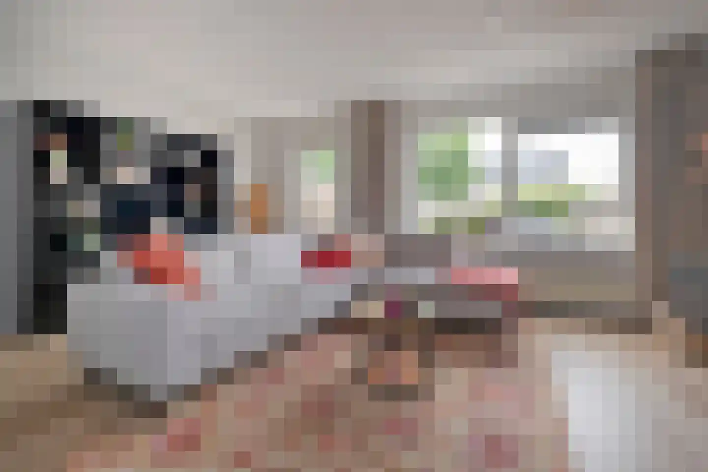 Hooibeemd 21 Assen thumbnail 11