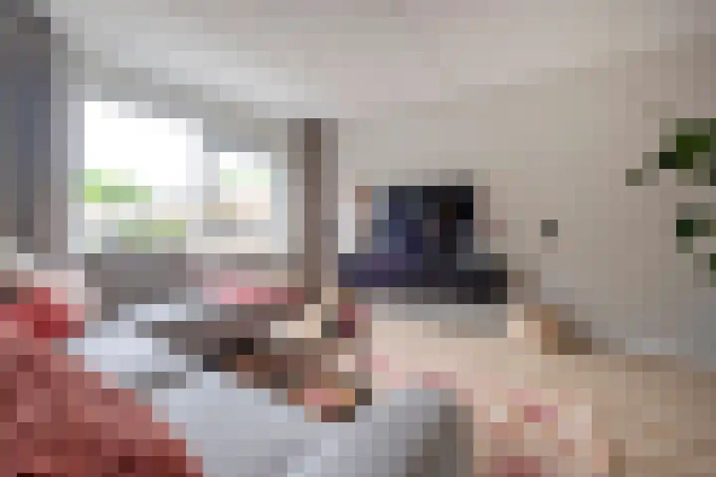 Hooibeemd 21 Assen thumbnail 13
