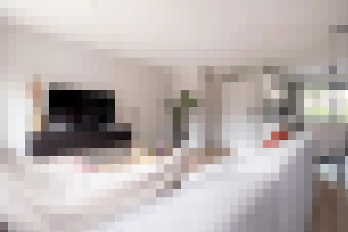 Hooibeemd 21 Assen thumbnail 14