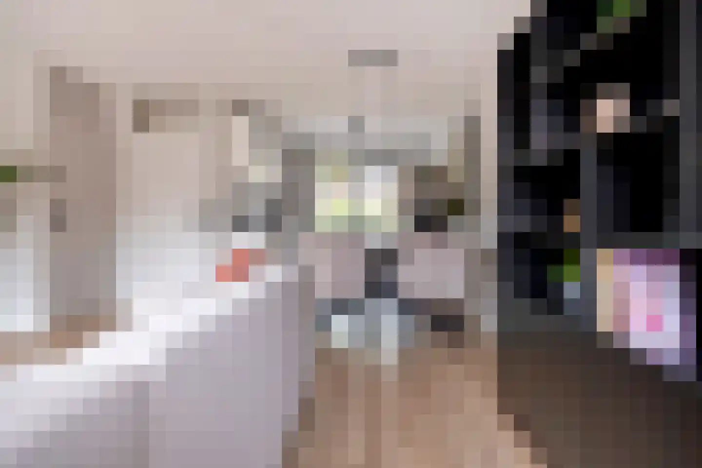 Hooibeemd 21 Assen thumbnail 15