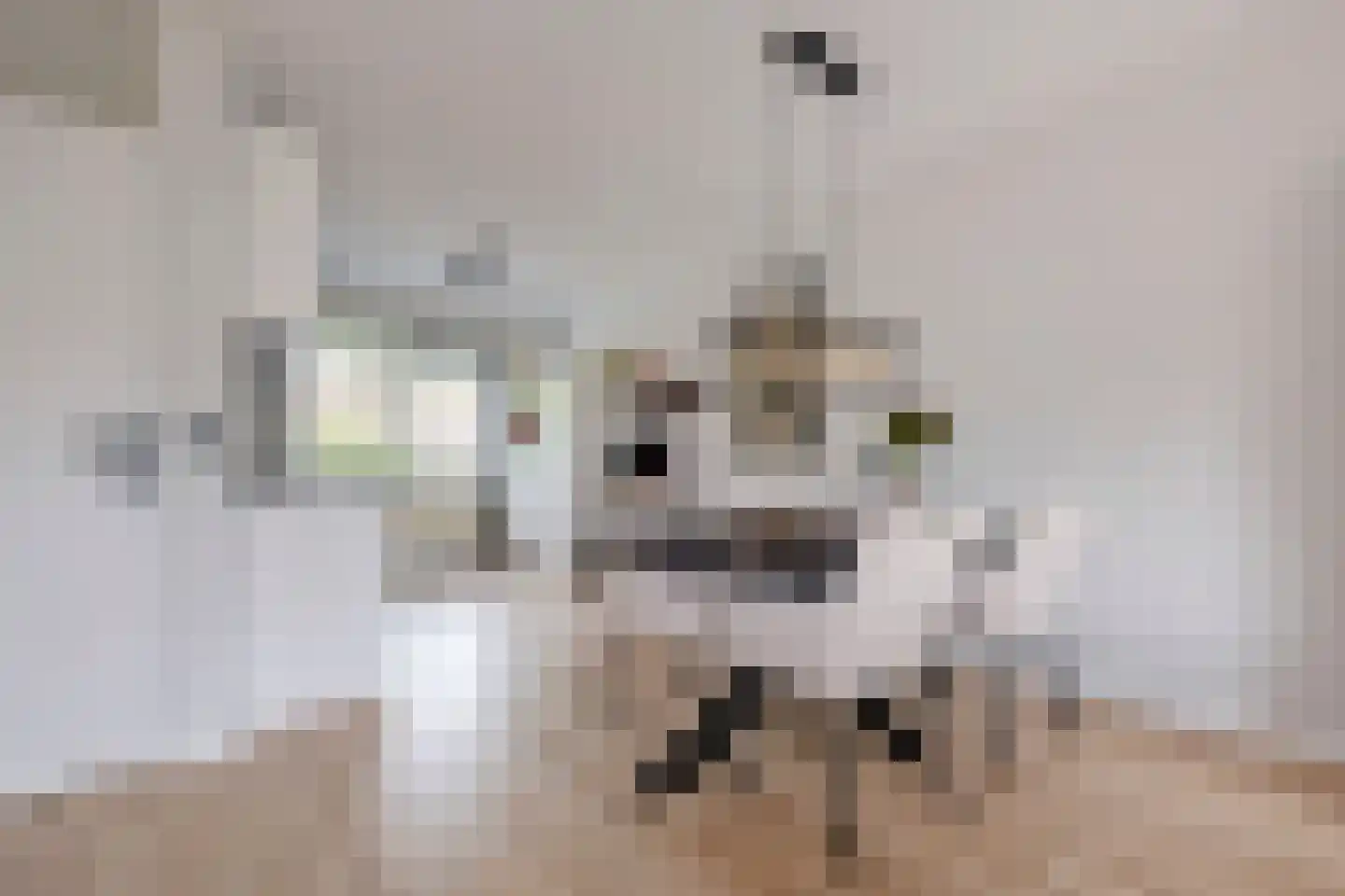 Hooibeemd 21 Assen thumbnail 19