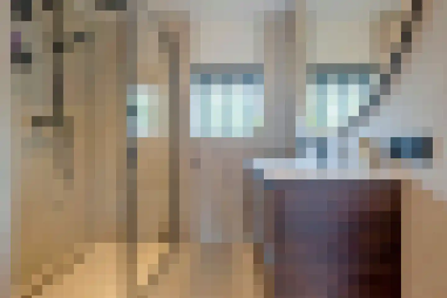 Hooibeemd 21 Assen thumbnail 25