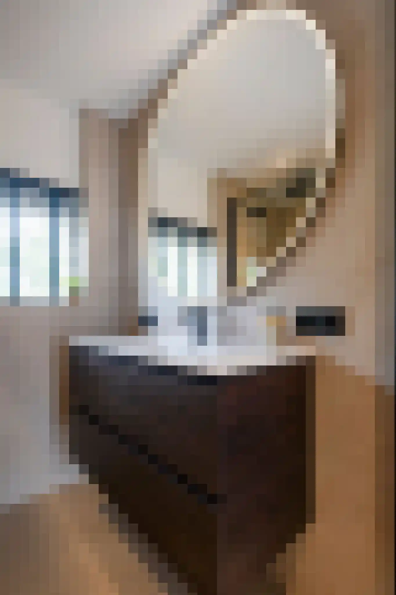 Hooibeemd 21 Assen thumbnail 27
