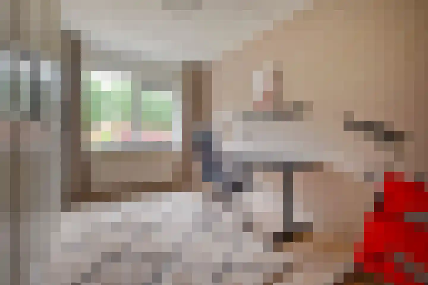 Hooibeemd 21 Assen thumbnail 28