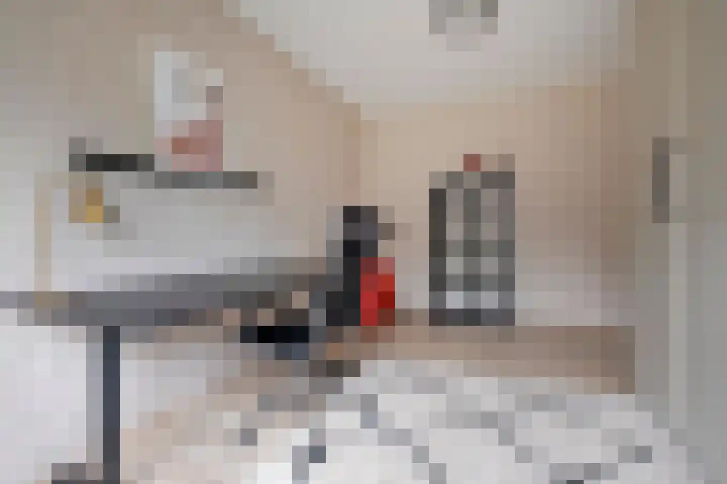 Hooibeemd 21 Assen thumbnail 29