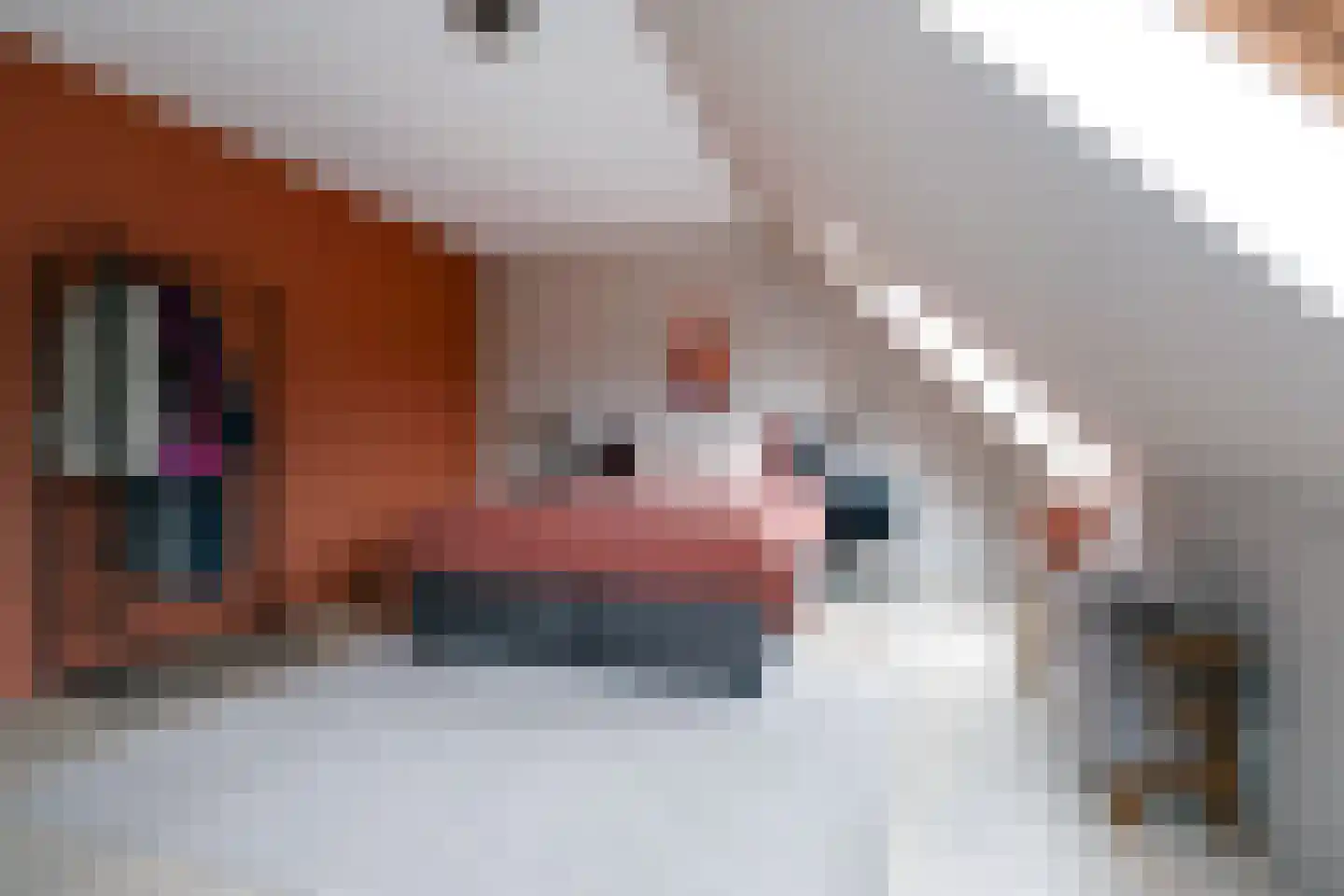 Hooibeemd 21 Assen thumbnail 31