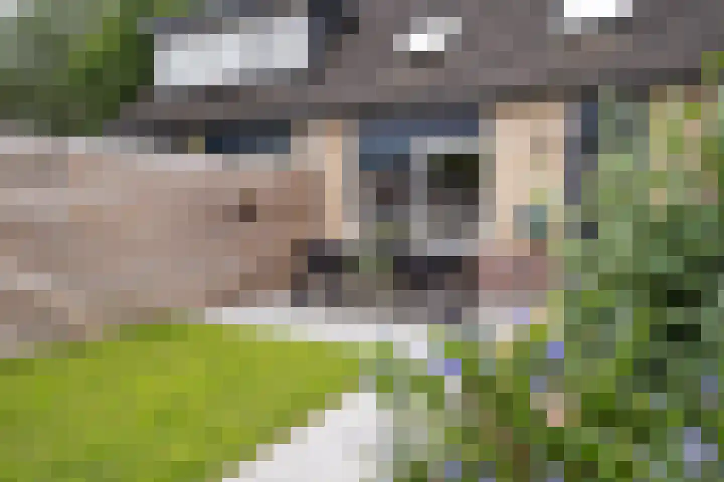 Hooibeemd 21 Assen thumbnail 39