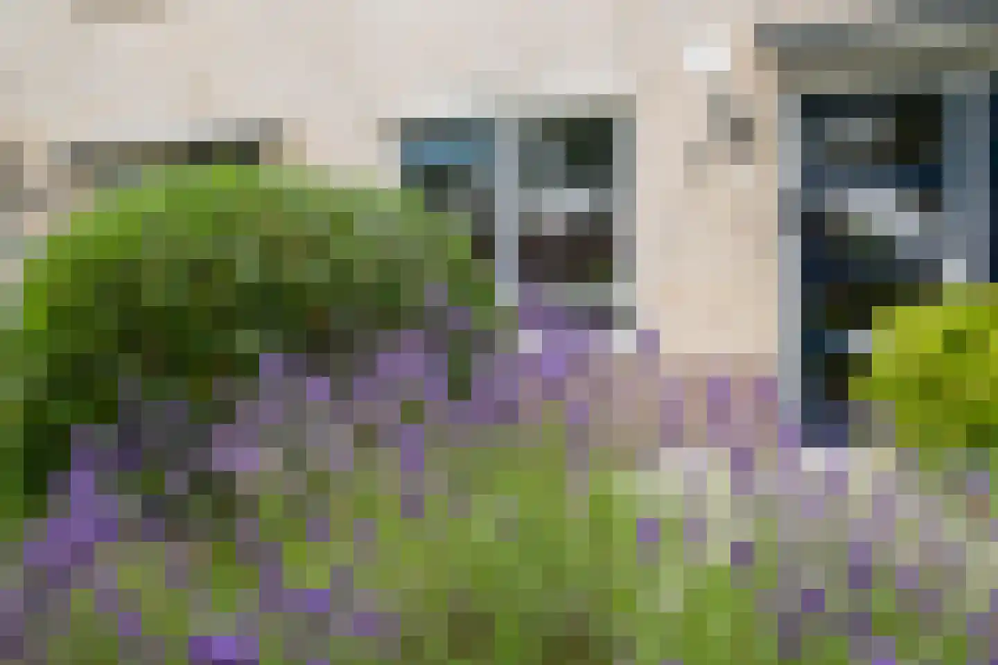 Hooibeemd 21 Assen thumbnail 4