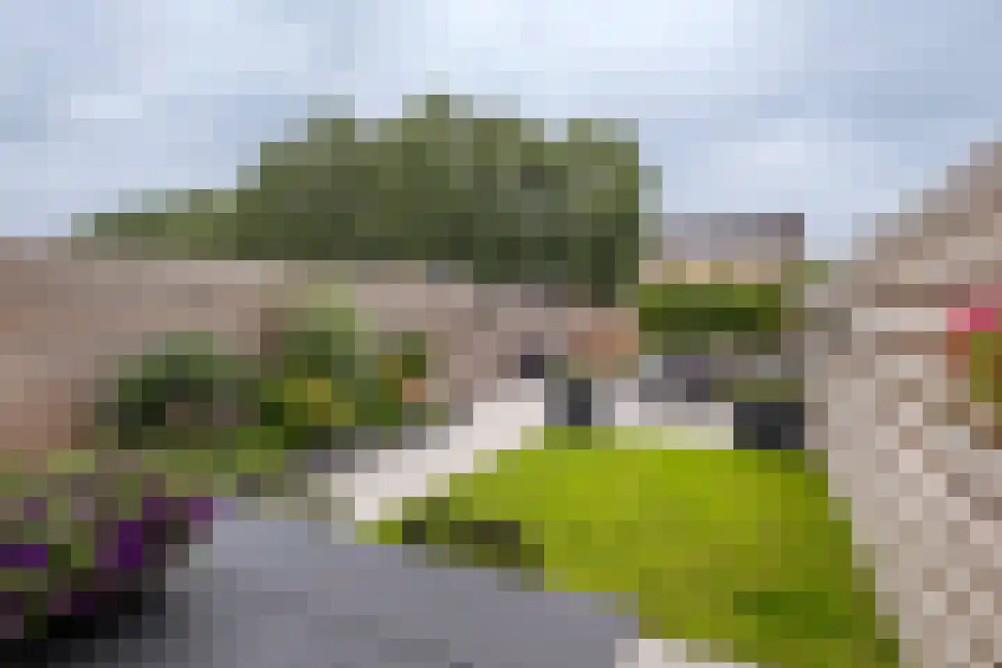 Hooibeemd 21 Assen thumbnail 44