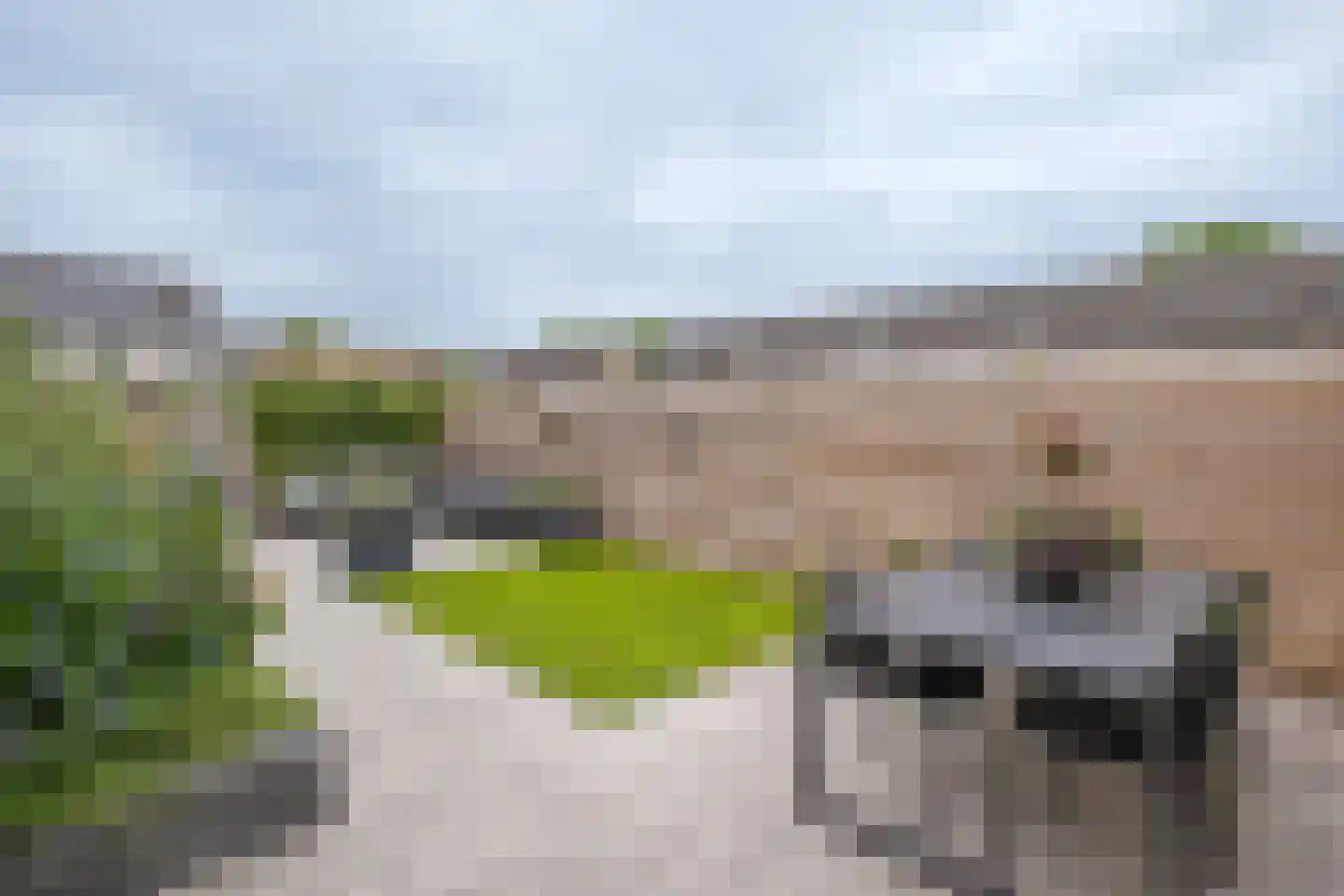 Hooibeemd 21 Assen thumbnail 45