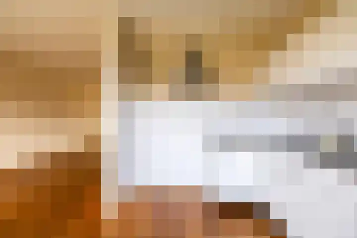 Hooibeemd 69 Assen thumbnail 12
