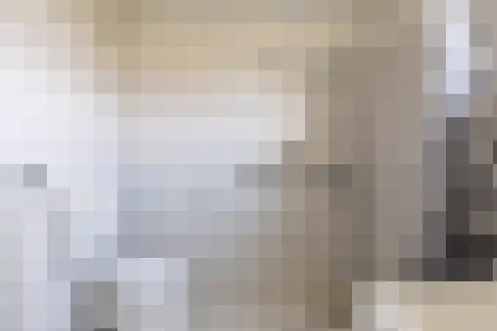 Hooibeemd 69 Assen thumbnail 17
