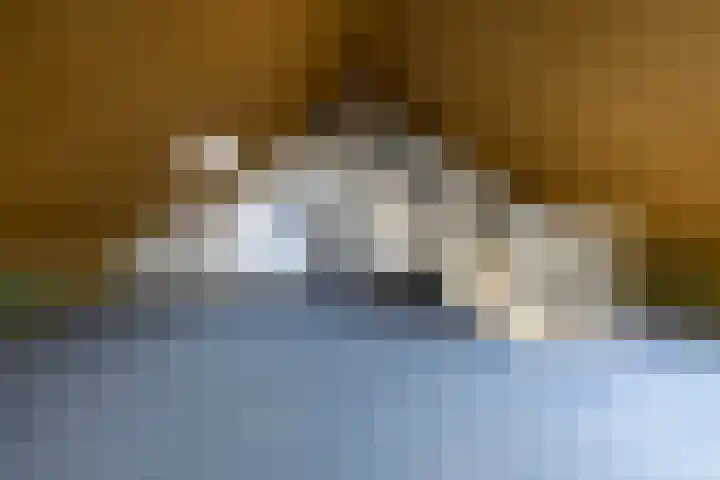Hooibeemd 69 Assen thumbnail 22