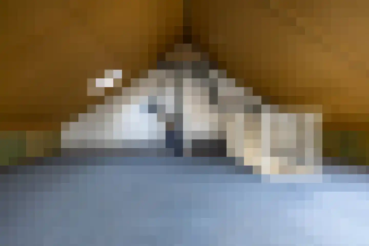 Hooibeemd 69 Assen thumbnail 22
