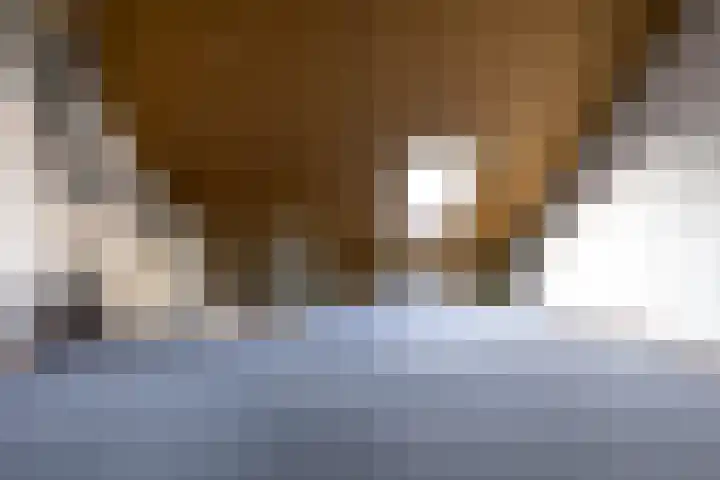 Hooibeemd 69 Assen thumbnail 23