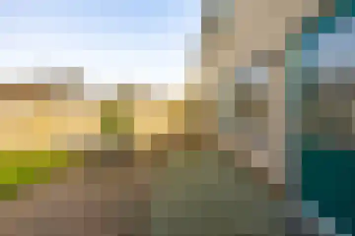 Hooibeemd 69 Assen thumbnail 25