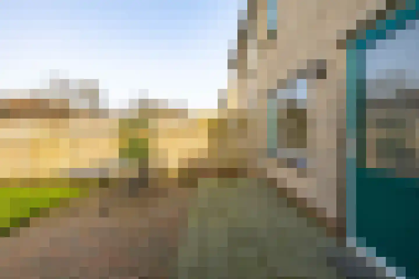 Hooibeemd 69 Assen thumbnail 25