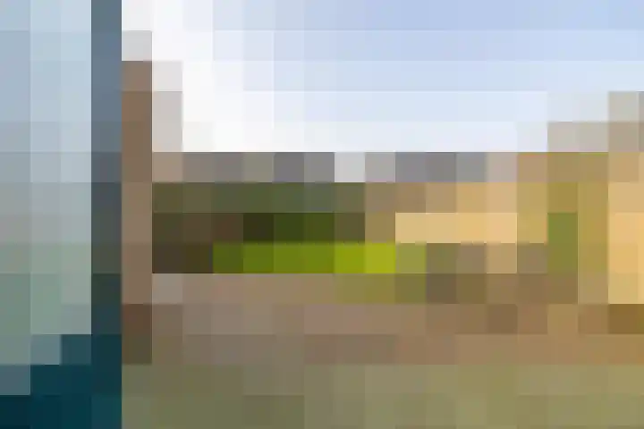 Hooibeemd 69 Assen thumbnail 26