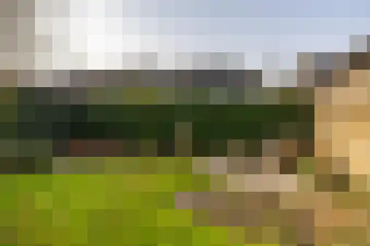 Hooibeemd 69 Assen thumbnail 27