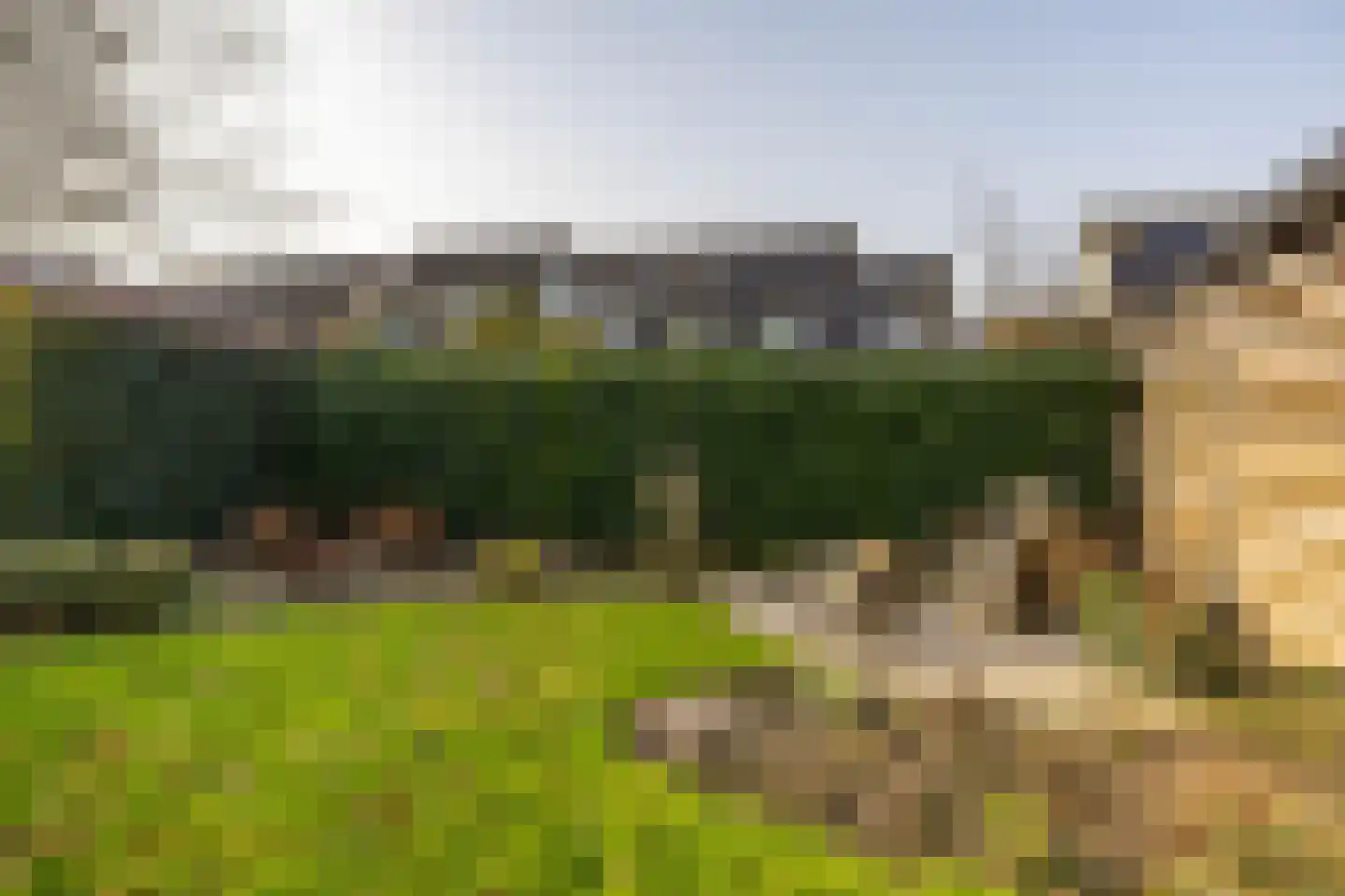 Hooibeemd 69 Assen thumbnail 27