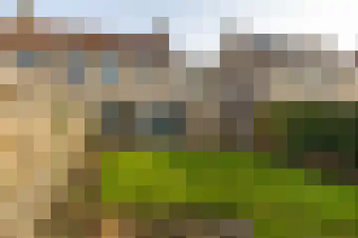 Hooibeemd 69 Assen thumbnail 28