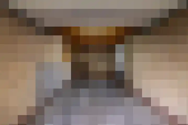 Hooibeemd 69 Assen thumbnail 30