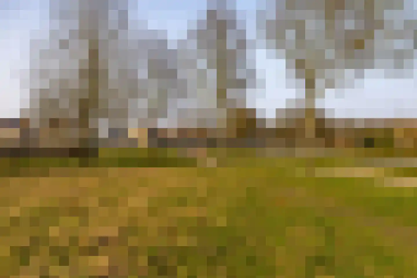 Hooibeemd 69 Assen thumbnail 32