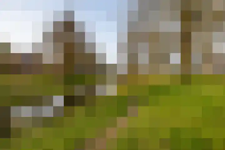 Hooibeemd 69 Assen thumbnail 33