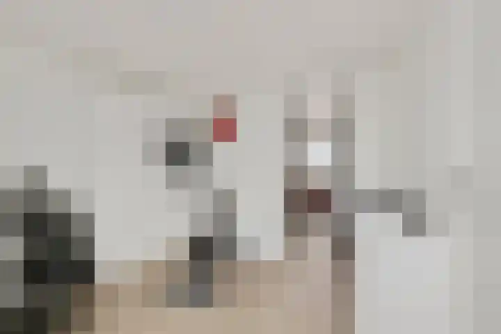 Hooiberg 12 Didam thumbnail 13