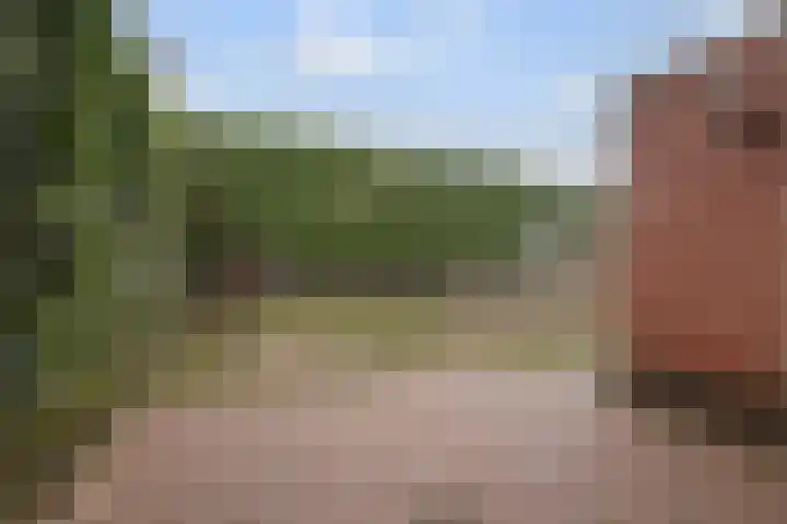 Hooiberg 12 Didam thumbnail 15