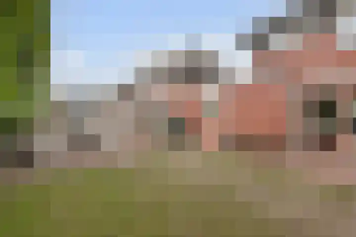Hooiberg 12 Didam thumbnail 16