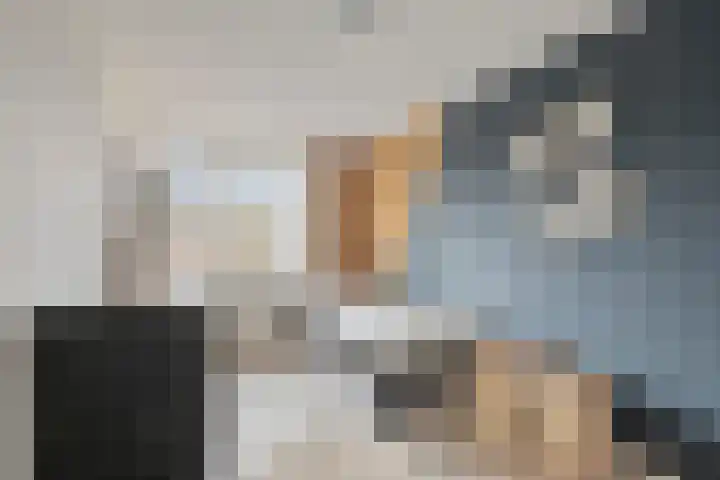 Hooiberg 12 Didam thumbnail 19