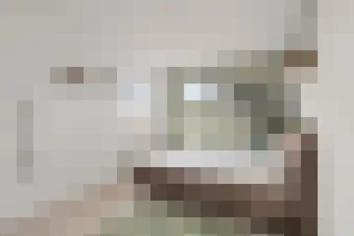 Hooiberg 12 Didam thumbnail 21