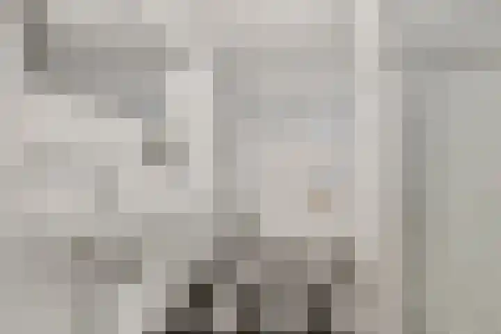 Hooiberg 12 Didam thumbnail 22