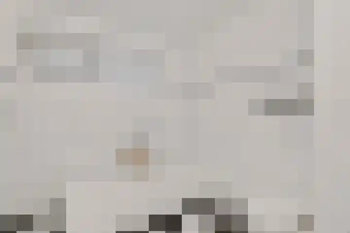 Hooiberg 12 Didam thumbnail 23