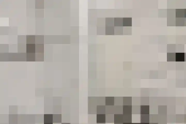 Hooiberg 12 Didam thumbnail 24
